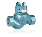 PN40 DİŞLİ ÇEKVALF