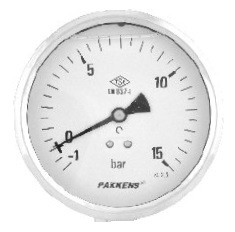 Q100 pakkens Arka Bağlantılı Giliserinli Manometreler